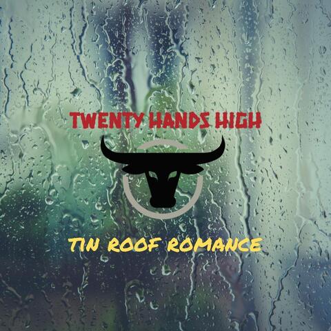 Tin Roof Romance