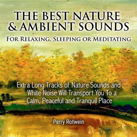 The Best Nature & Ambient Sounds for Relaxing, Sleeping or Meditating