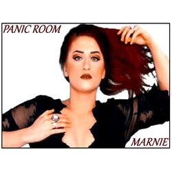 Panic Room