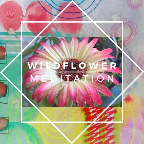 Wildflower Meditation