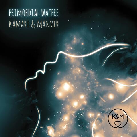Primordial Waters
