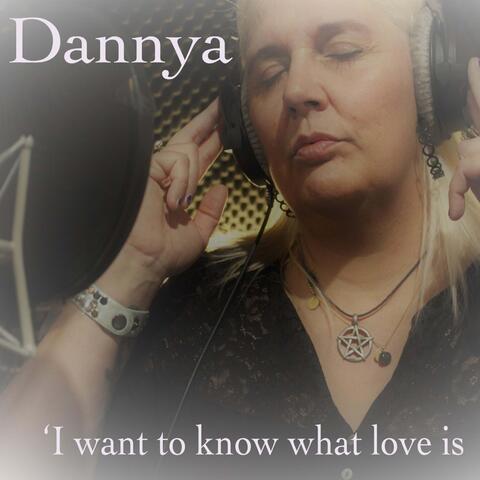 I Want to Know What Love Is