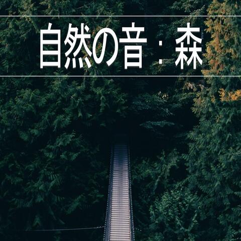 自然の音：森