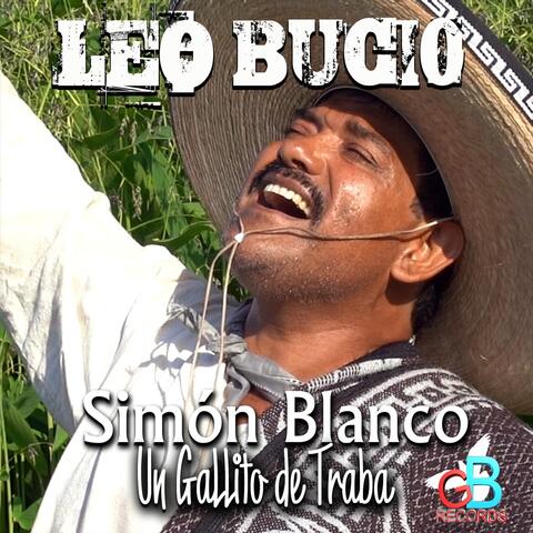 Simon Blanco un Gallito de Traba