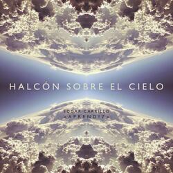 Halcón Sobre el Cielo