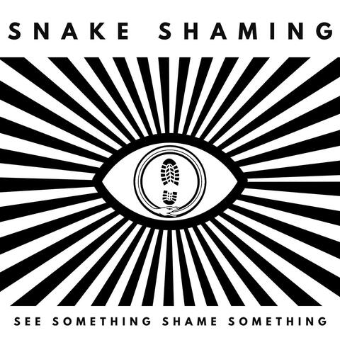 See Something Shame Something