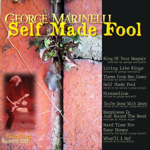 Self Made Fool