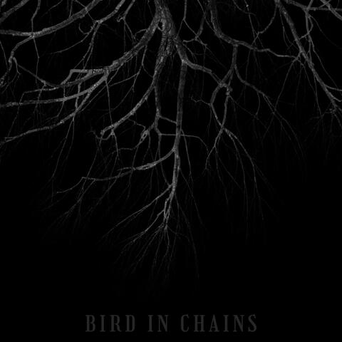 Bird in Chains