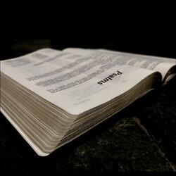 Psalm 148 (Praise the Lord)