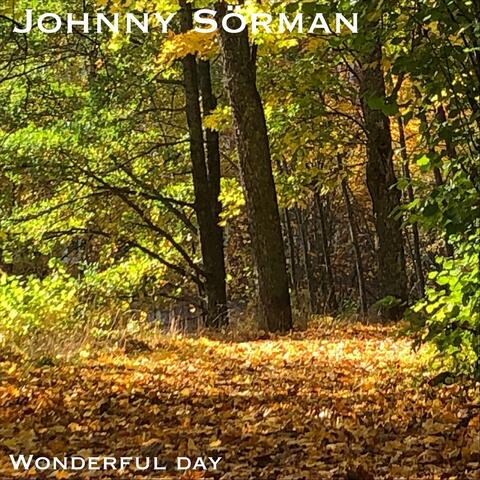 Wonderful Day