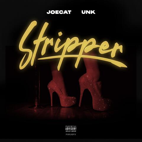 Stripper (feat. Unk)