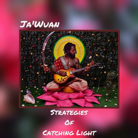 Strategies of Catching Light