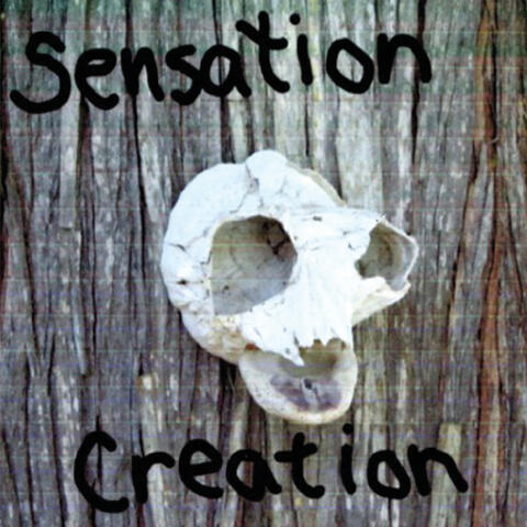 Sensation Creation (Live)