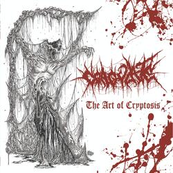 18th Parallel Succubus Masquerading Transcendence to Divinity (Liar Upon the Cross)