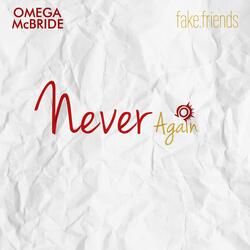 Never Again (feat. Fake.friends)