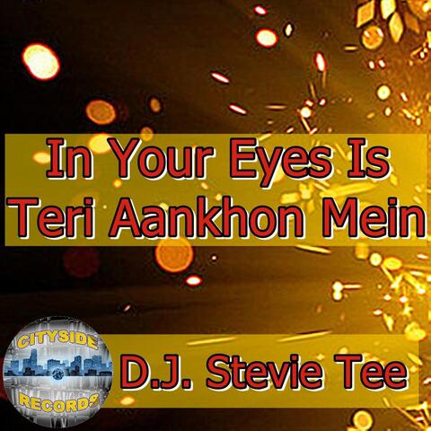 In Your Eyes Is Teri Aankhon Mein