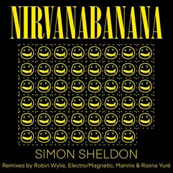 Nirvanabanana (Robin Wylie 2step Remix)