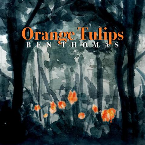 Orange Tulips
