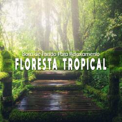 Som de Fundo para Relaxamento: Floresta Tropical, Pt. 22