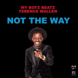 Not the Way (feat. Terence Wallen)
