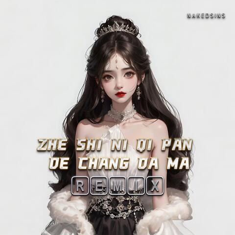 Zhe Shi Ni Qi Pan De Chang da Ma (Remix)
