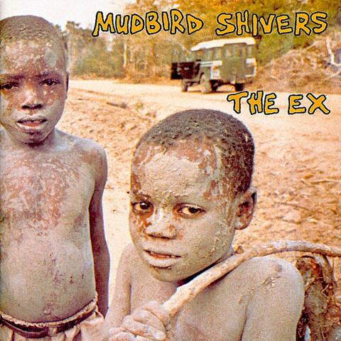 Mudbird Shivers
