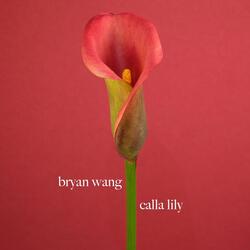 Calla Lily