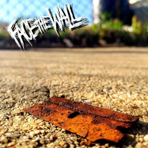 Face the Wall