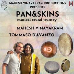 Pan & Skins Musical Sound Journey (feat. Tommaso D'avanzo)