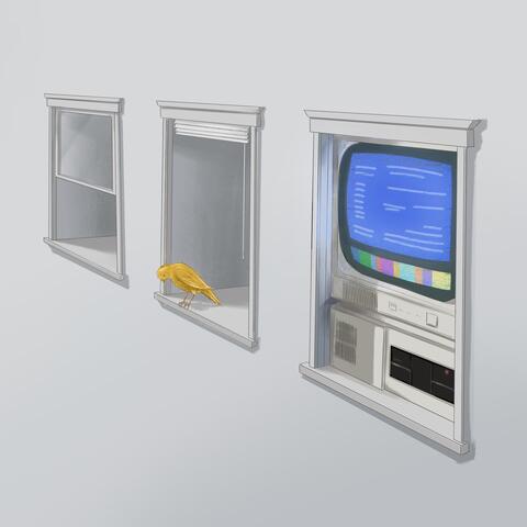 Canary
