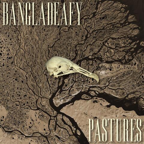 Pastures