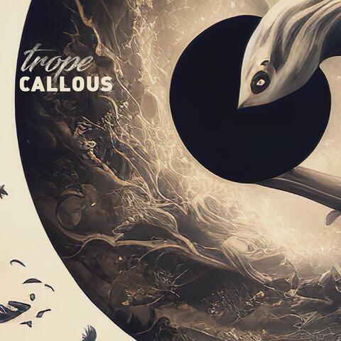 Callous