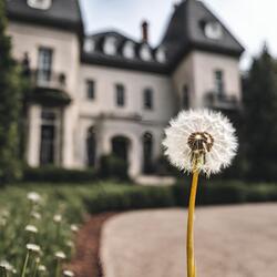 Drake's House (Clean Version)