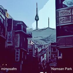 Namsan Park