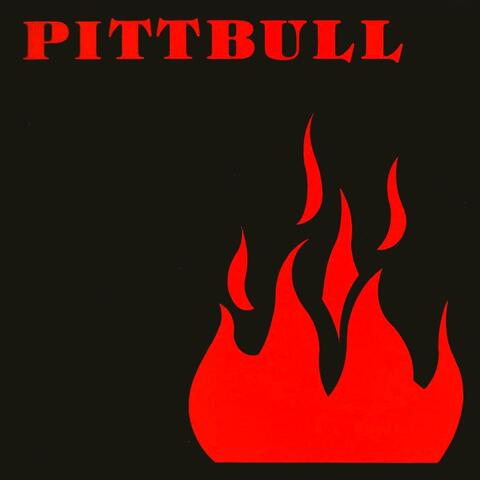 Pittbull
