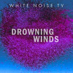 Drowning Winds (Decence Remix)