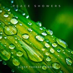 Slowing Down
