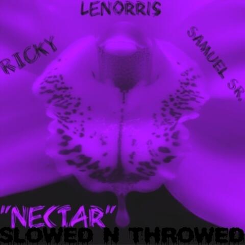 NECTAR (SLOWED N THROWED)