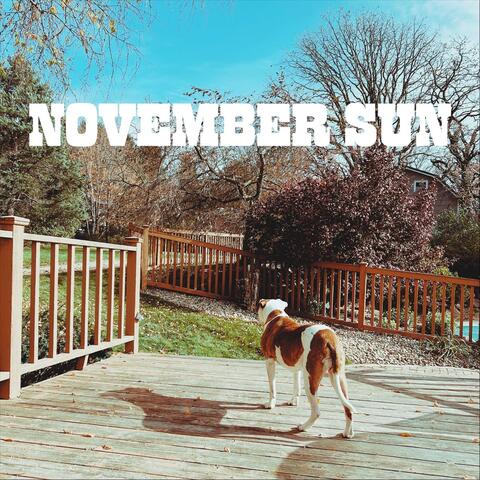 November Sun