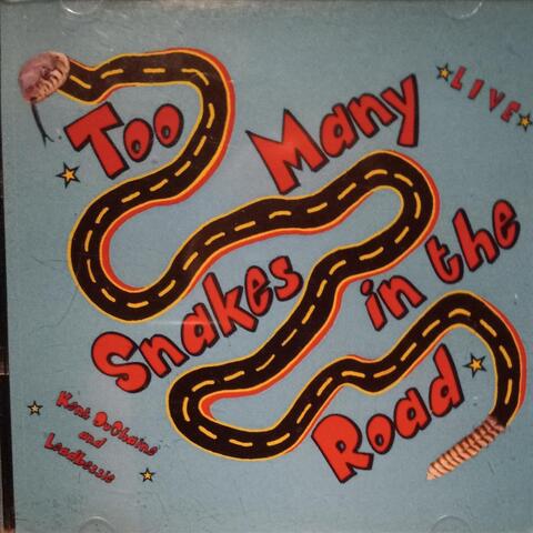 Too Many Snakes in the Road (Live)