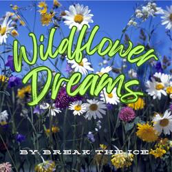 Wildflower Dreams