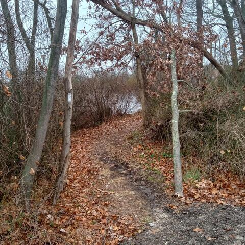 The Unlistenable and the Absurd