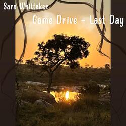 Sundowner
