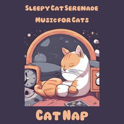 Midnight Cat Whispers