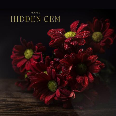 Hidden Gem