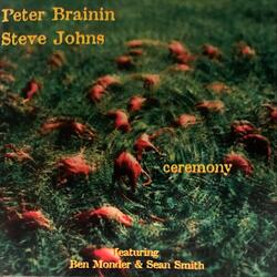 Little Cry (feat. Ben Monder & Sean Smith)