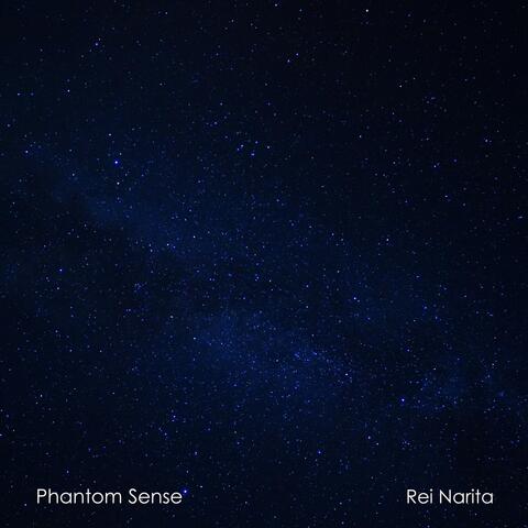 Phantom Sense