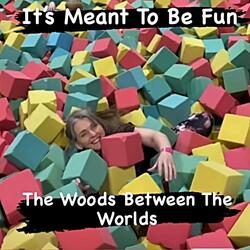 It's Meant To Be Fun