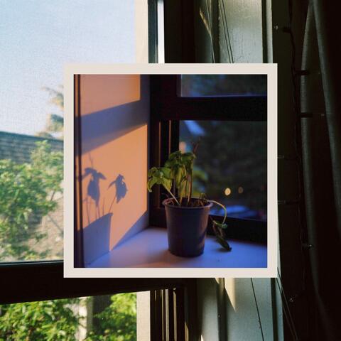 Adopt a Houseplant