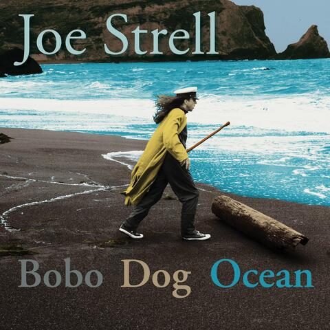 Bobo Dog Ocean